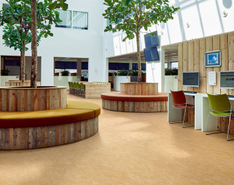 Marmoleum Real